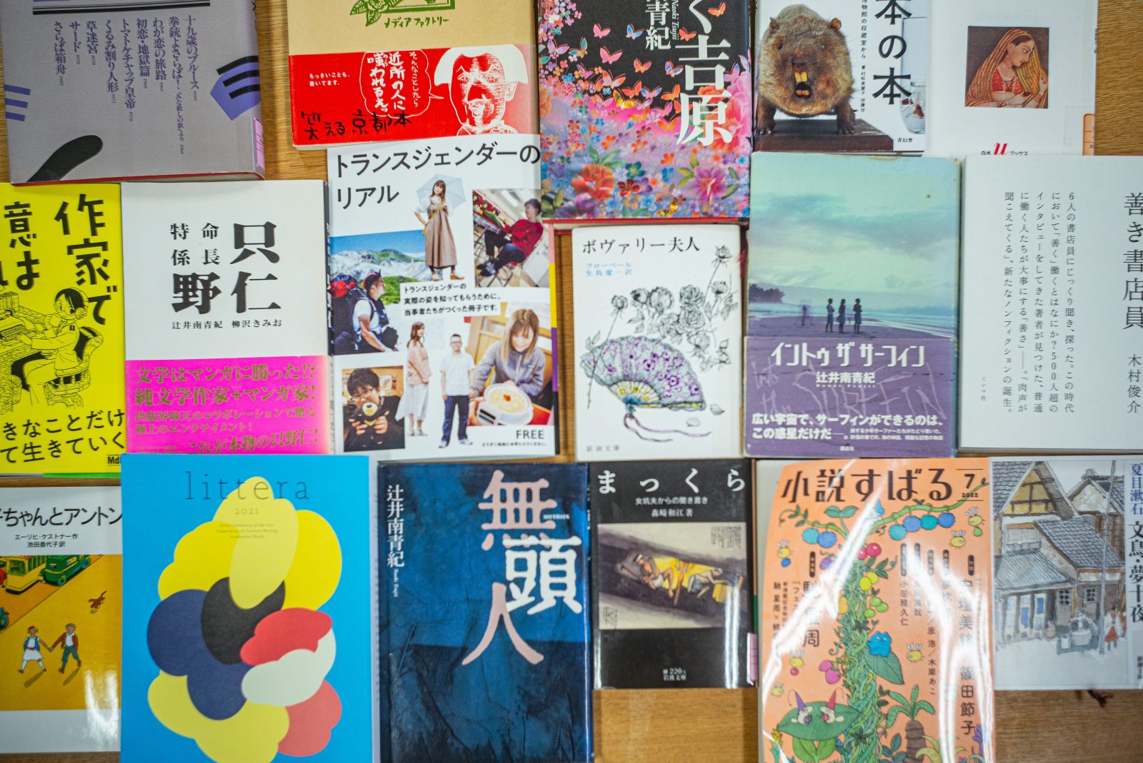 通信制大学院「文芸領域」 （2023年4月新開設）辻井南青紀 領域長に
