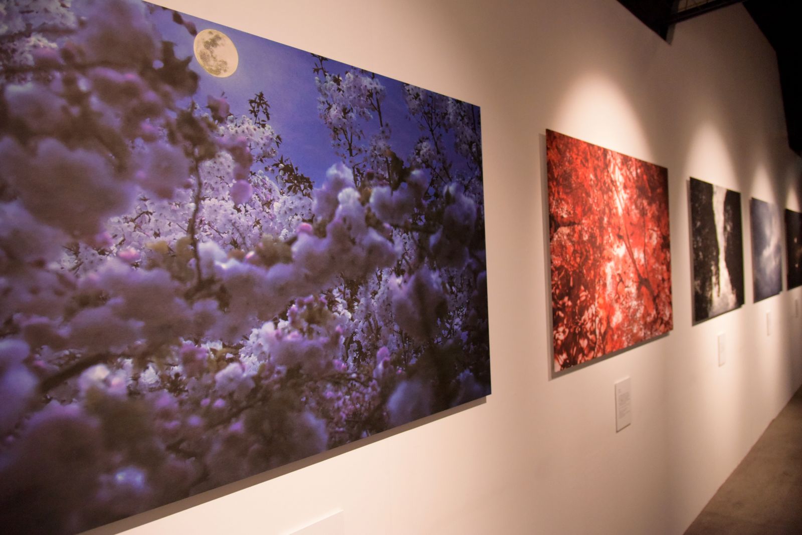 京都に息づく物語をたどって―安珠写真展「Invisible Kyoto―目に見えぬ