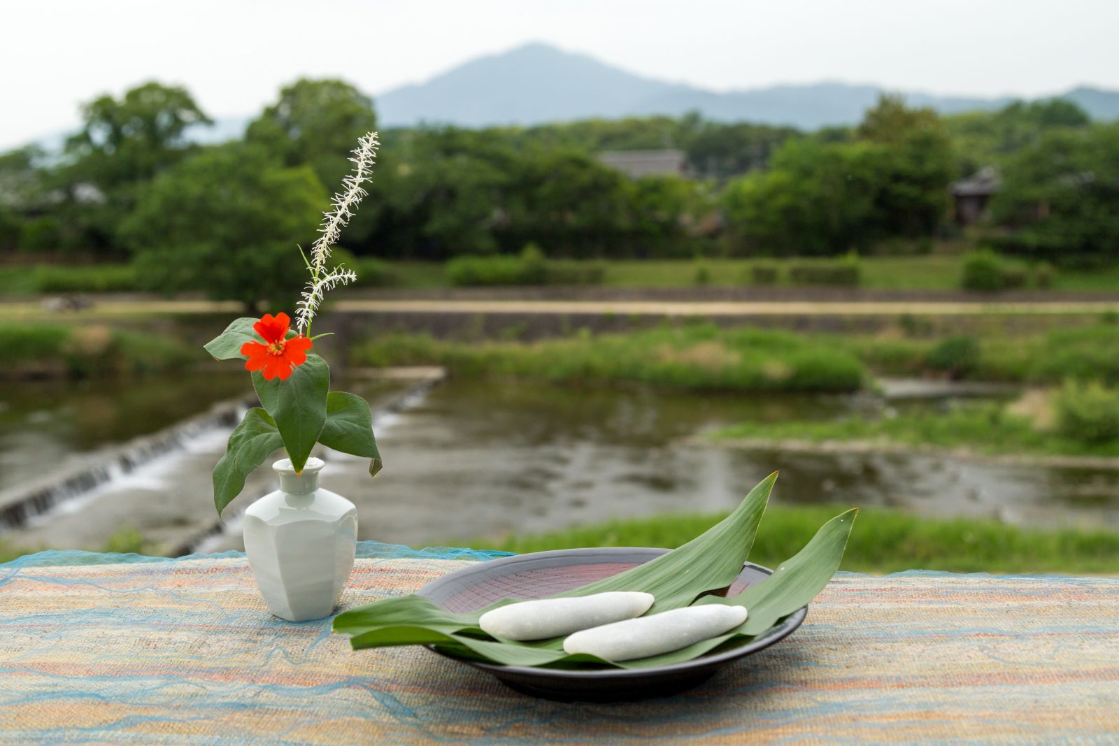 東山山中 茶花の咲く花畑（初春・春編）と鎌をかたどった餅菓子－寺町今出川「花フジ」生花店／大黒屋 鎌餅－[京の暮らしと和菓子 #32] | 瓜生通信