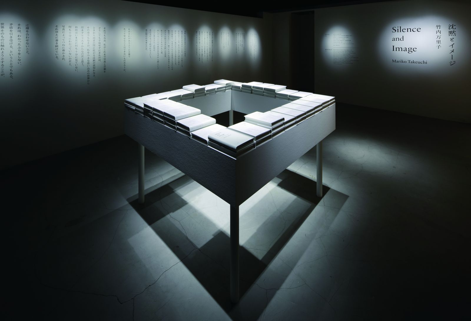 見ることの不思議、書くことの豊かさ－竹内万里子准教授インタビュー