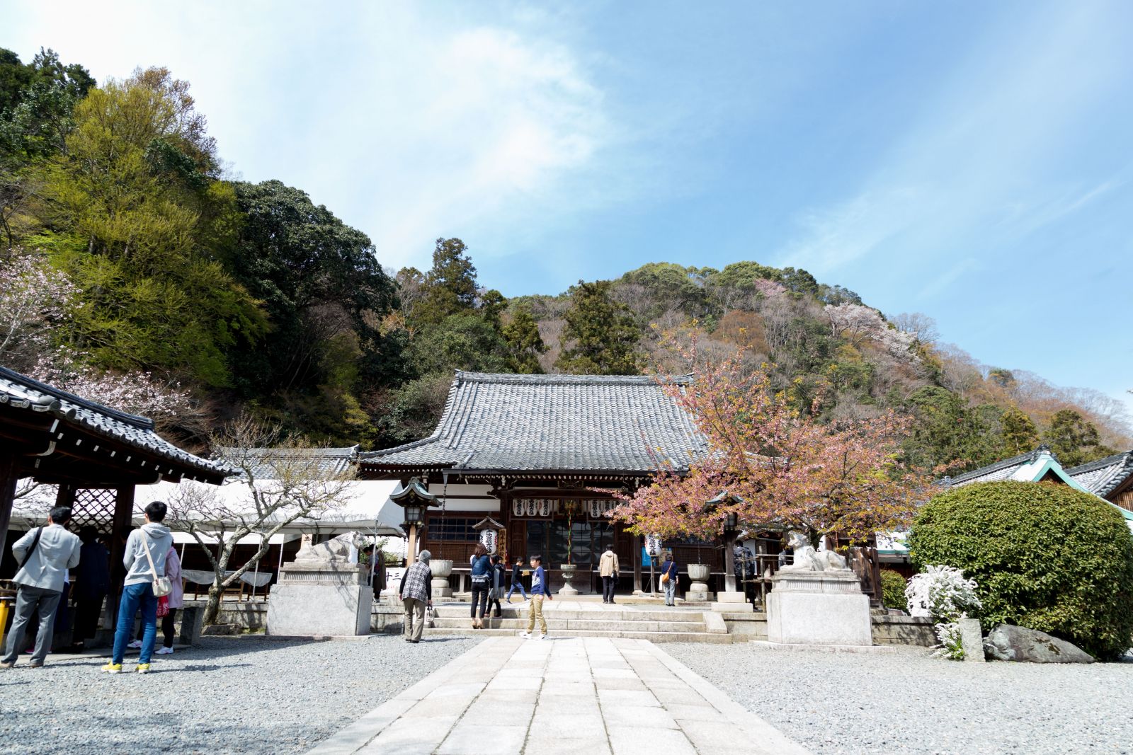 桜満つ嵐山法輪寺の十三まいりと桜餅―鶴屋寿 嵐山 さ久ら餅[京の暮らし